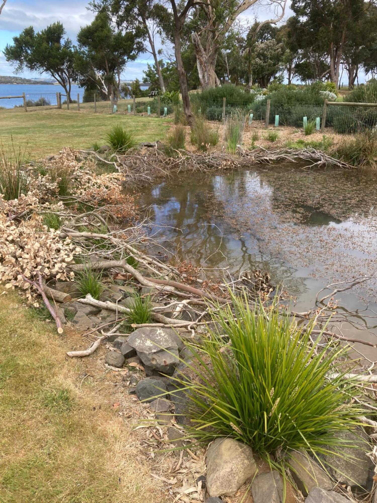 Pleasant Point Cottage Phillip Island Rhyll Exterior foto